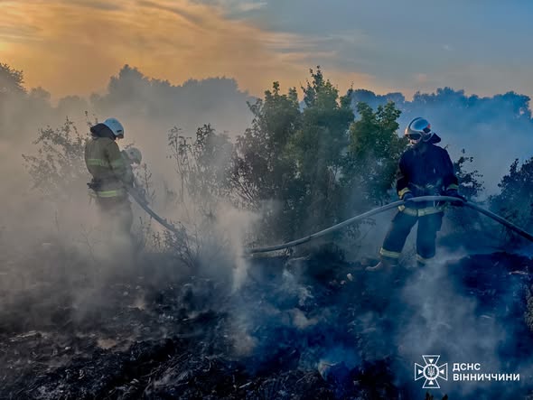 На Вінниччині за день ліквідували 20 пожеж: горіли поля, будинок і легковик