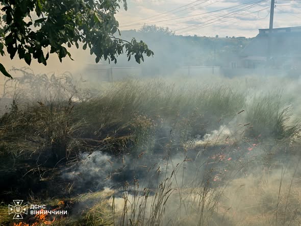 На Вінниччині горіли ліси, будинки та автомобіль: рятувальники ліквідували 14 пожеж