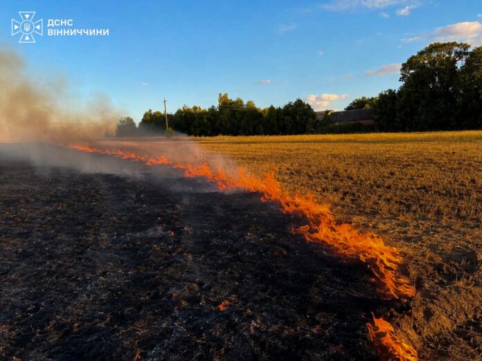 17 пожеж за добу: на Вінниччині вогонь охопив понад 9 гектарів сухої рослинності
