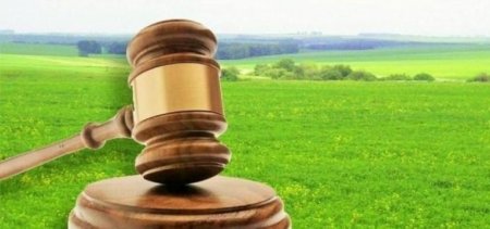 Фіктивні рішення та приватні ділянки: на Вінниччині повернули громаді 3 га земель біля водойм