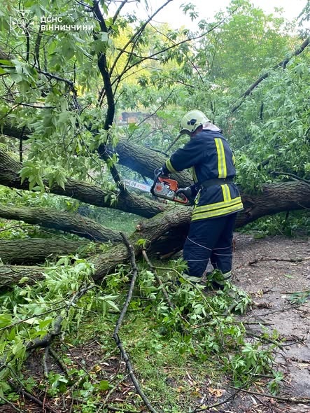 Буревій на Вінниччині: у Вінниці дерево впало на автомобіль, рятувальники розчищали дороги