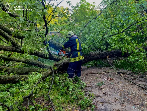 Вінниччину накрила негода: рятувальники ліквідовували наслідки у шести громадах
