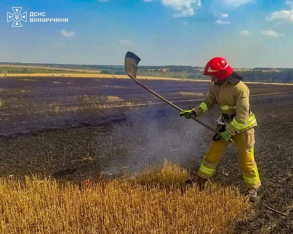 Понад 8 гектарів у вогні: на Вінниччині за день ліквідували 22 пожежі в екосистемах
