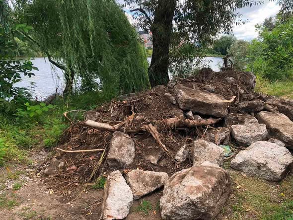 Захаращував територію біля водойми: у Вінницьких Хуторах на порушника склали протокол