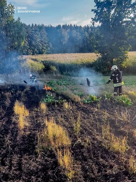 Горіли будинки, гараж і господарські споруди: на Вінниччині за добу сталося 8 пожеж