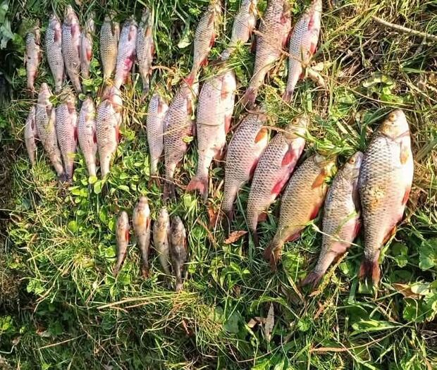 Збитки — понад 50 тисяч гривень: на Мурафі викрили незаконний вилов риби