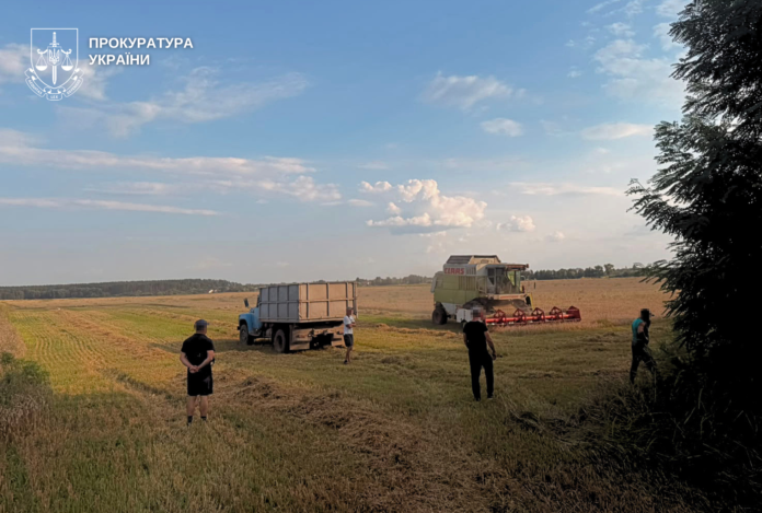 Засіяв 85 га без права користування: на Вінниччині депутата обвинувачують у незаконному використанні землі